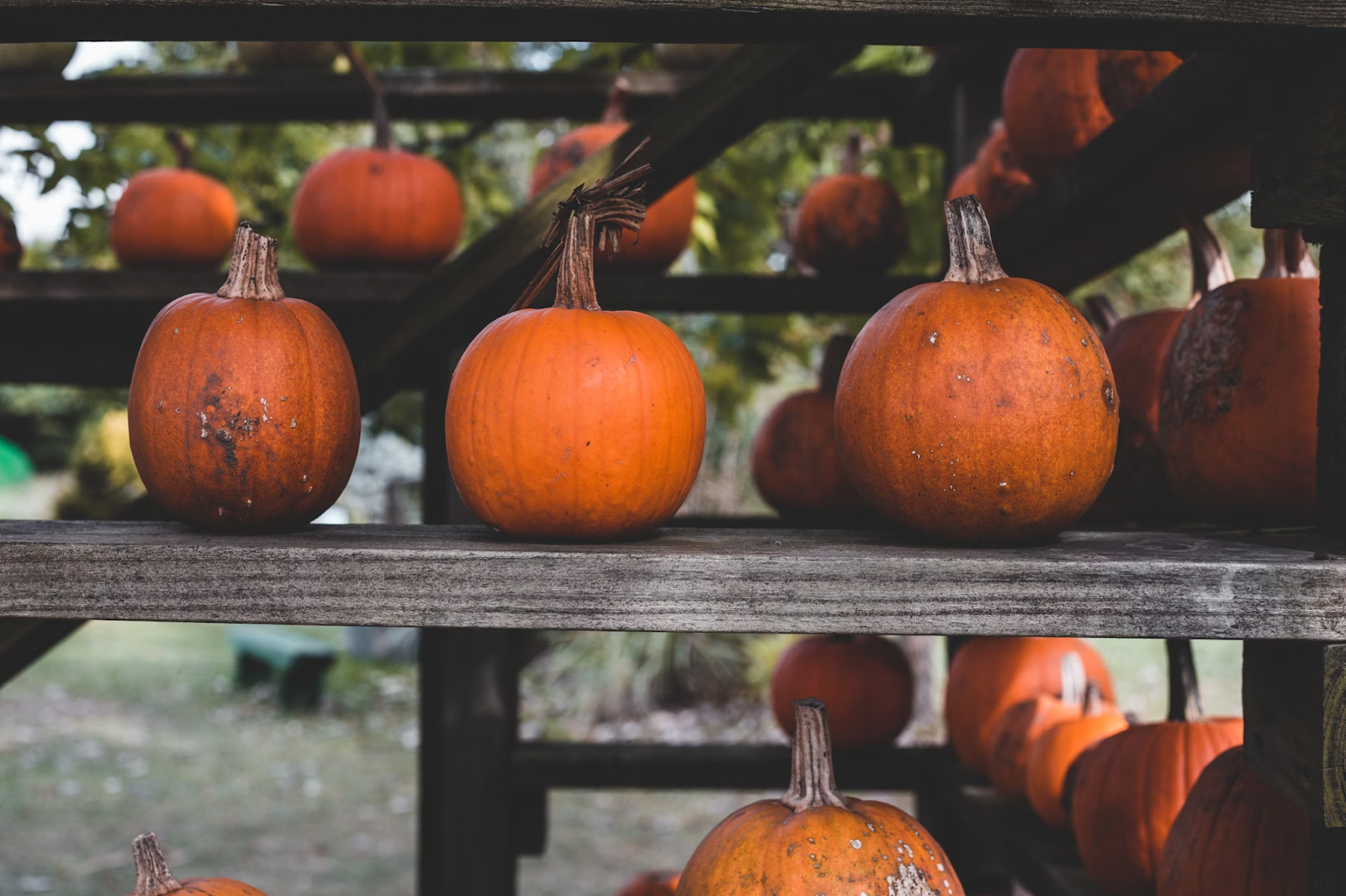 3 Must-Do Activities to Do This Autumn 3 Must-Do Activities to Do This Autumn