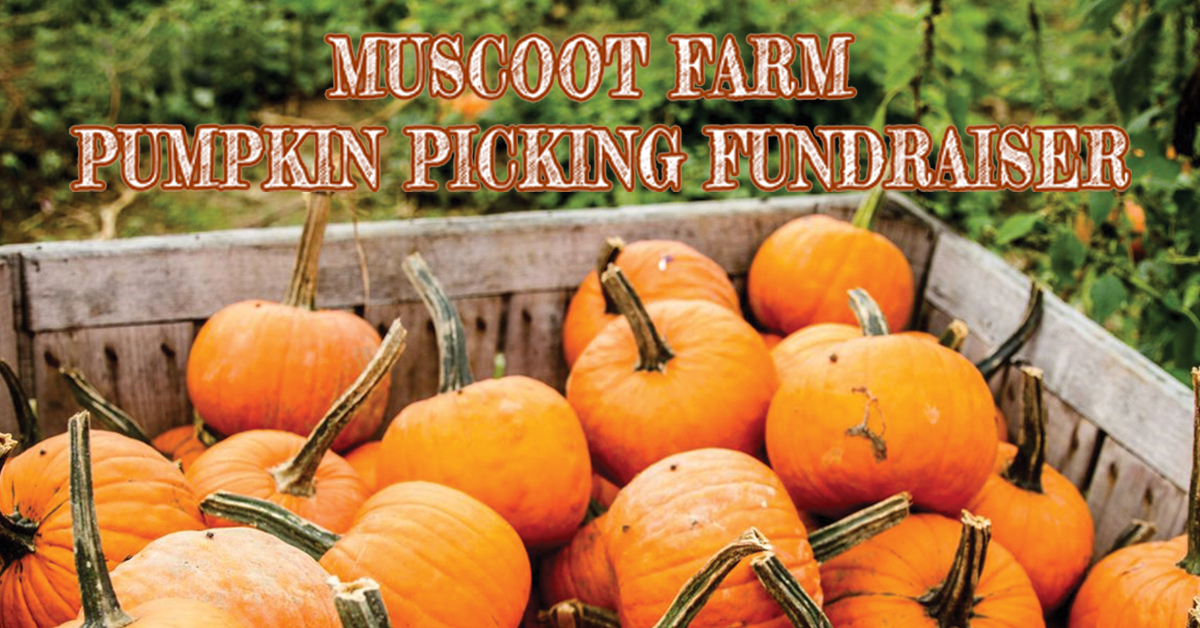 Bring Your Family to Muscoot Farm for Pumpkin Picking Fundraiser Oct. 12-14 Bring Your Family to Muscoot Farm for Pumpkin Picking Fundraiser Oct. 12-14