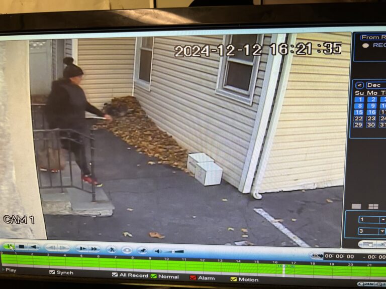 Who Brought A Rabid Cat to Yonkers Animal Hospital?