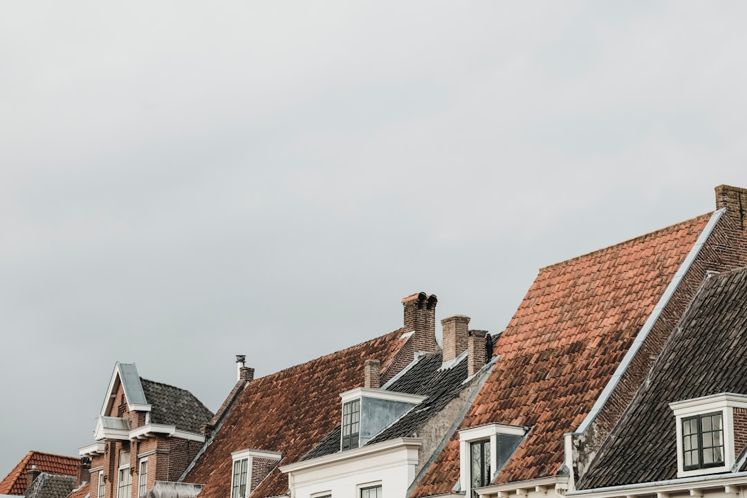 Useful Tips for Inspecting Your Roof Like a Pro Useful Tips for Inspecting Your Roof Like a Pro