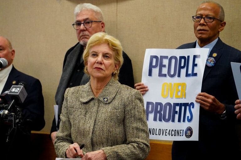 Senator Shelley Mayer and over 100 Westchester Residents Rally Against High Con Edison Bills