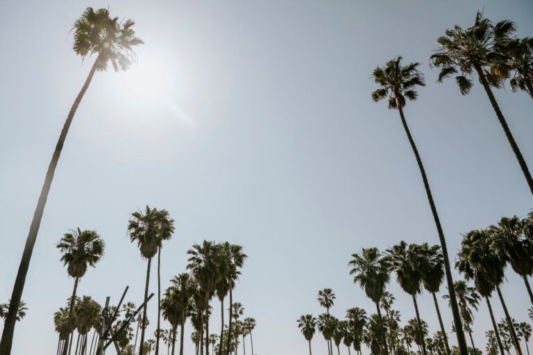What You Need to Know About Moving Within California