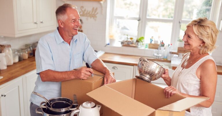 Mice Infestation During Senior Downsizing: Strategies for Prevention and Management