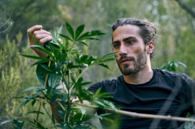 What Legal Cannabis Means for Yonkers’ Economy and Local Businesses