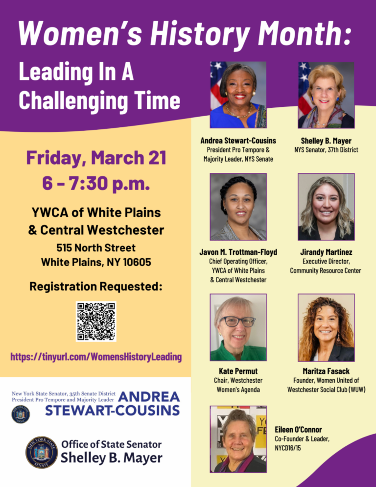 Senate Majority Leader Stewart-Cousins and Senator Mayer Host Women’s History Month Panel: Leading in a Challenging Time