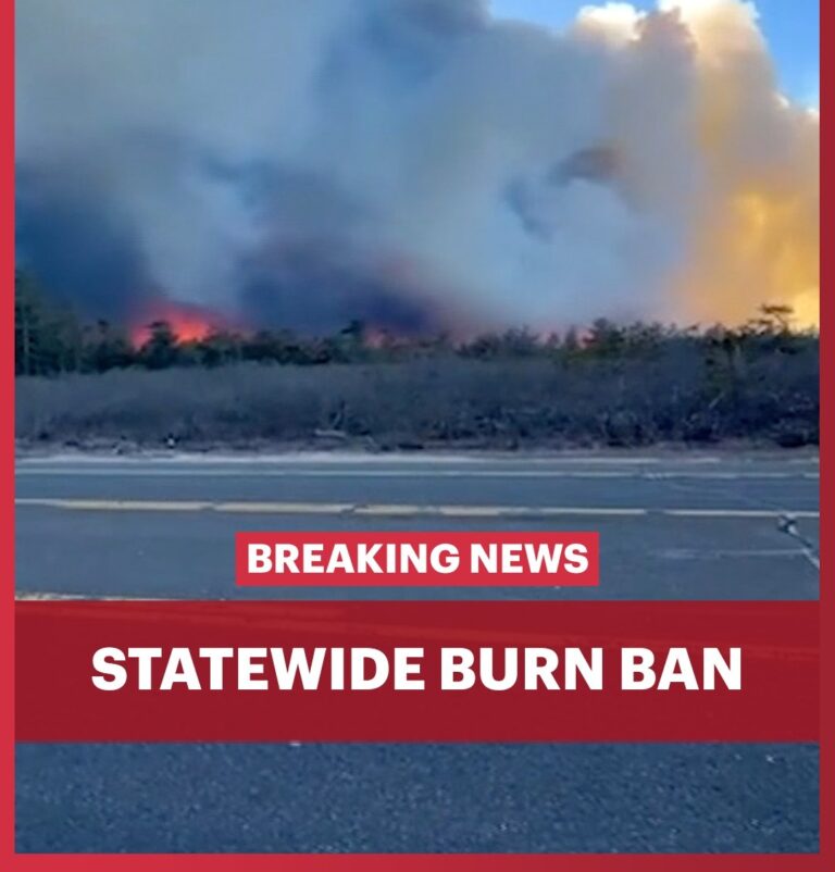 NEW YORK STATE SETS EARLY BURN BAN FOR WESTCHESTER COUNTY