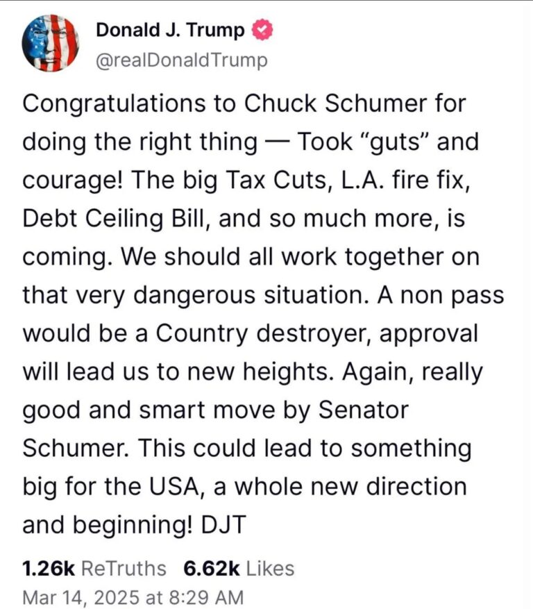 Primary any Democrat Who Supports Schumer