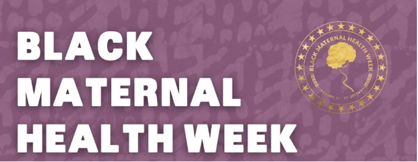 WESTCHESTER COUNTY MARKS BLACK MATERNAL HEALTH WEEK WITH NEW MATERNAL HEALTH DASHBOARD WESTCHESTER COUNTY MARKS BLACK MATERNAL HEALTH WEEK WITH NEW MATERNAL HEALTH DASHBOARD