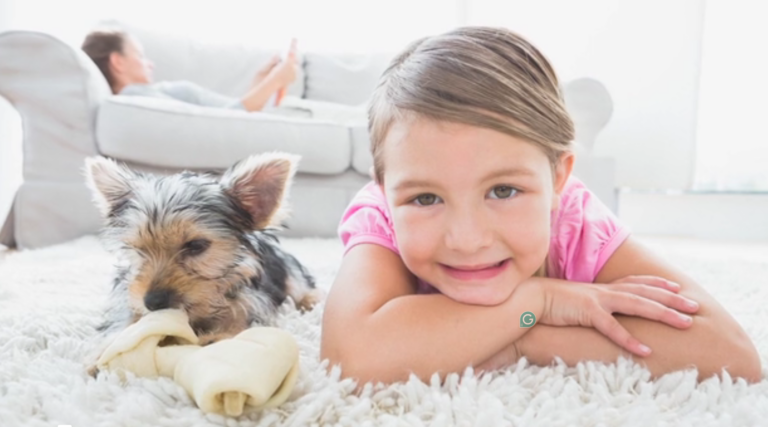 The Importance of Professional Carpet Cleaners in Dublin & How to Choose the Right One