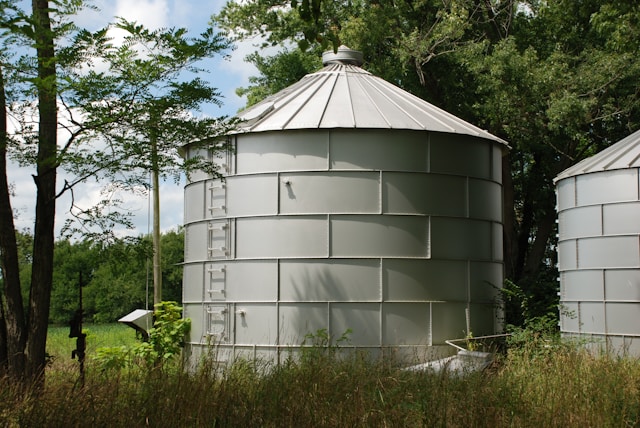 Why Rainwater Is More Useful Than You Think Why Rainwater Is More Useful Than You Think