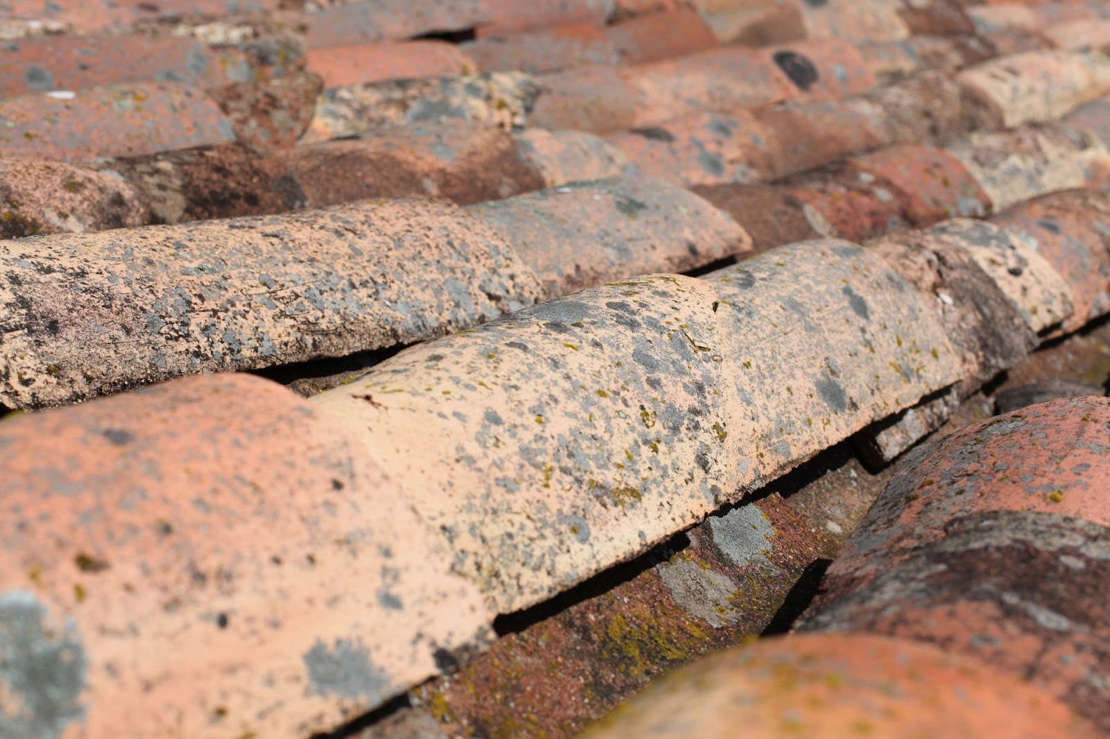 Frequent Roof Issues That Can Affect the Safety and Comfort of Your Home Frequent Roof Issues That Can Affect the Safety and Comfort of Your Home