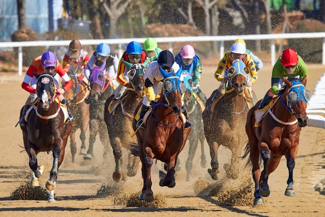 Preakness Stakes Betting Angles for 2025