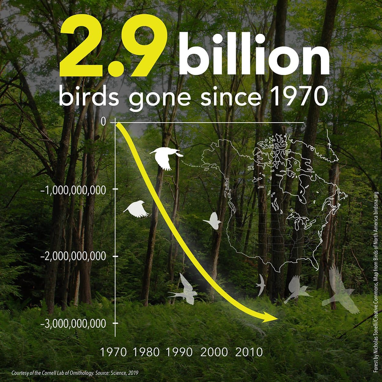 Senator Harckham: We’ve Lost 30% of our Bird Population Since the 1970’s Senator Harckham: We’ve Lost 30% of our Bird Population Since the 1970’s