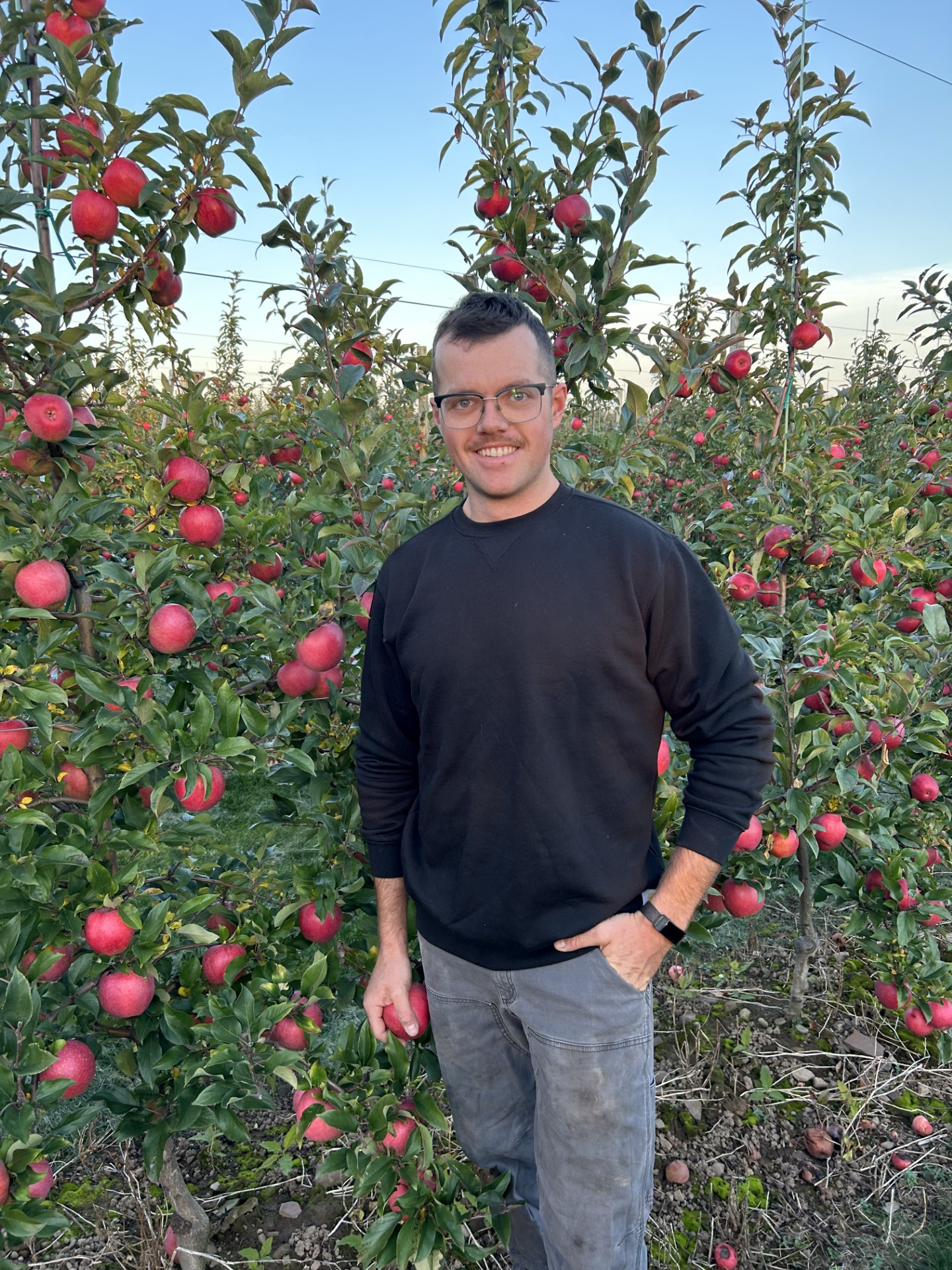 New York Apple Association Names New Chairman of the Board New York Apple Association Names New Chairman of the Board