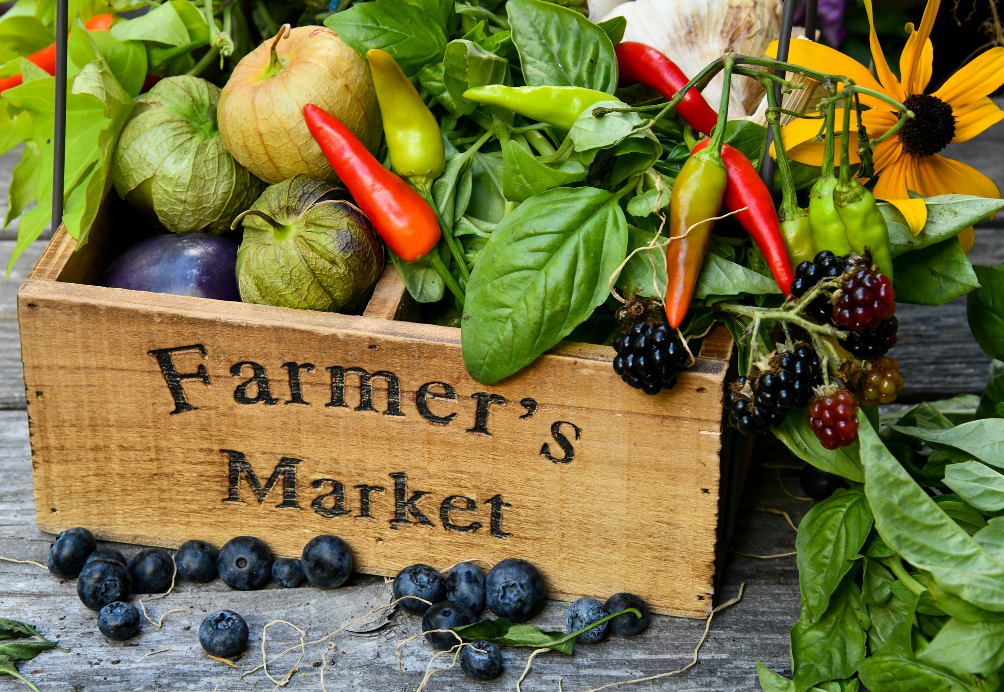 Westchester County Health Department Distributes Farmer’s Market Coupons to Westchester Families Westchester County Health Department Distributes Farmer’s Market Coupons to Westchester Families