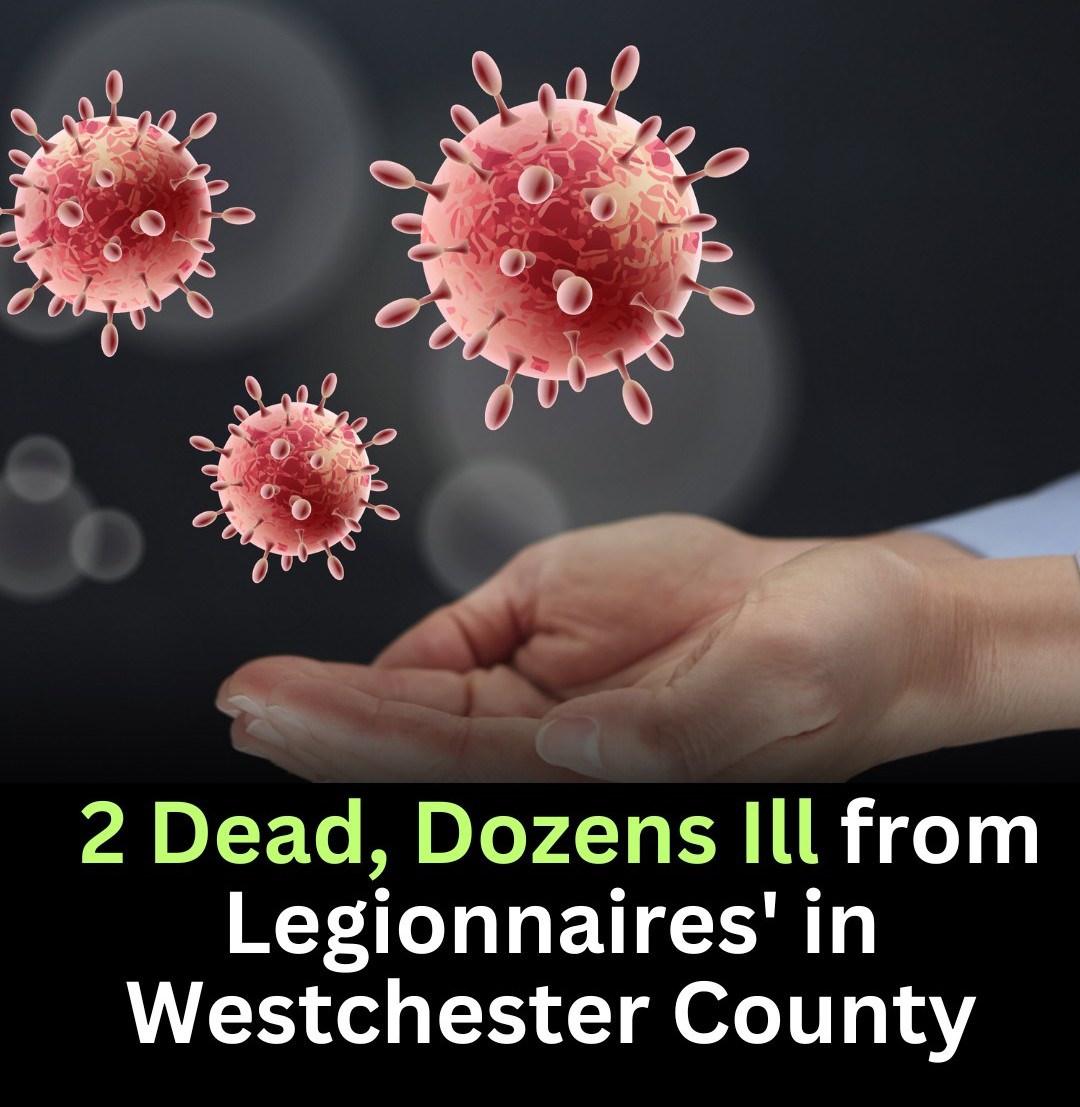 38 Legionnaires Cases and Two Deaths in Westchester 38 Legionnaires Cases and Two Deaths in Westchester