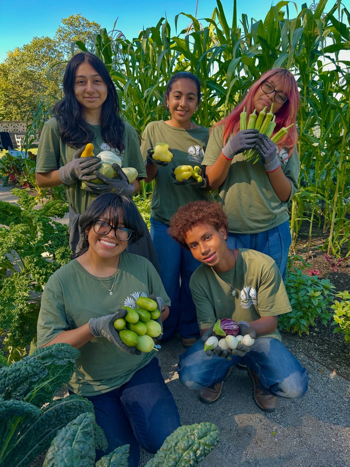 YPS Interns at Untermyer Gardens Conservancy Reap Harvest YPS Interns at Untermyer Gardens Conservancy Reap Harvest
