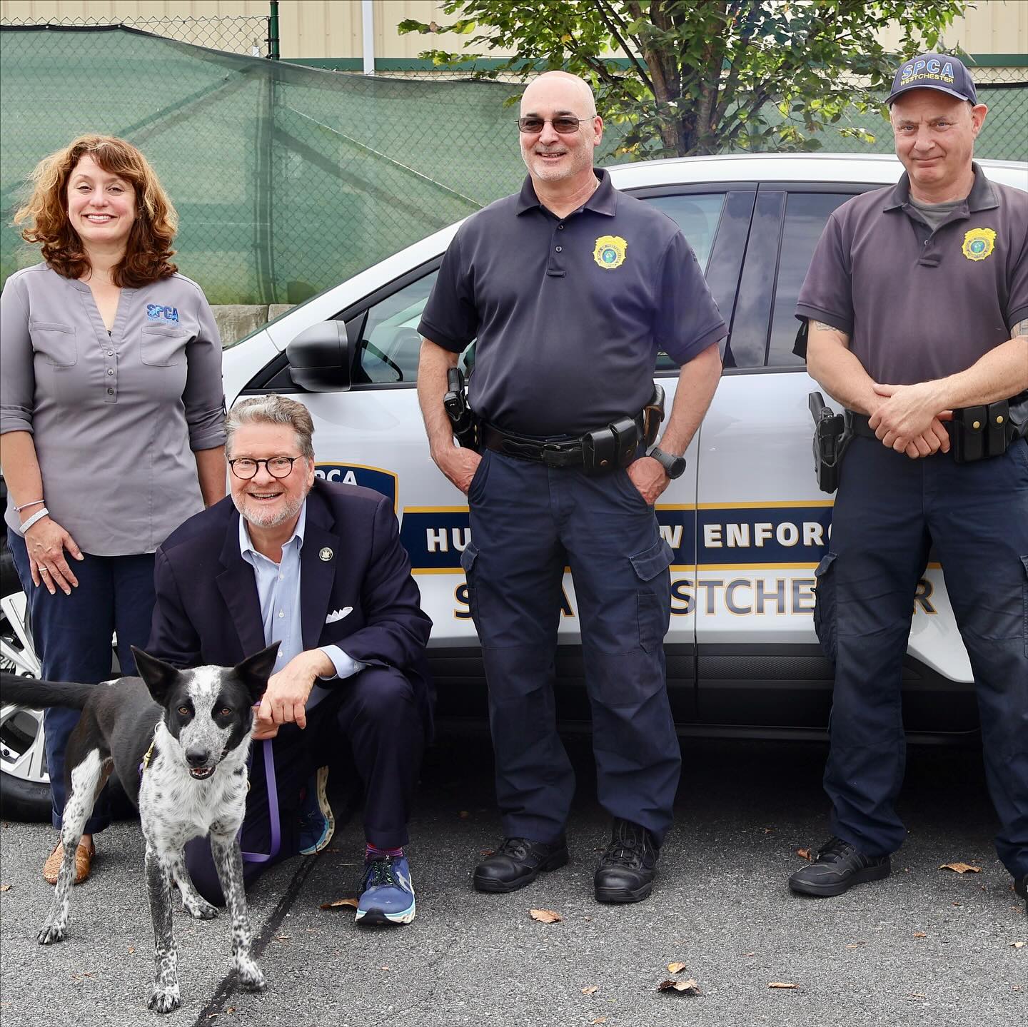 Senator Pete Harckham Secures $100k Grant for SPCA Westchester Senator Pete Harckham Secures $100k Grant for SPCA Westchester
