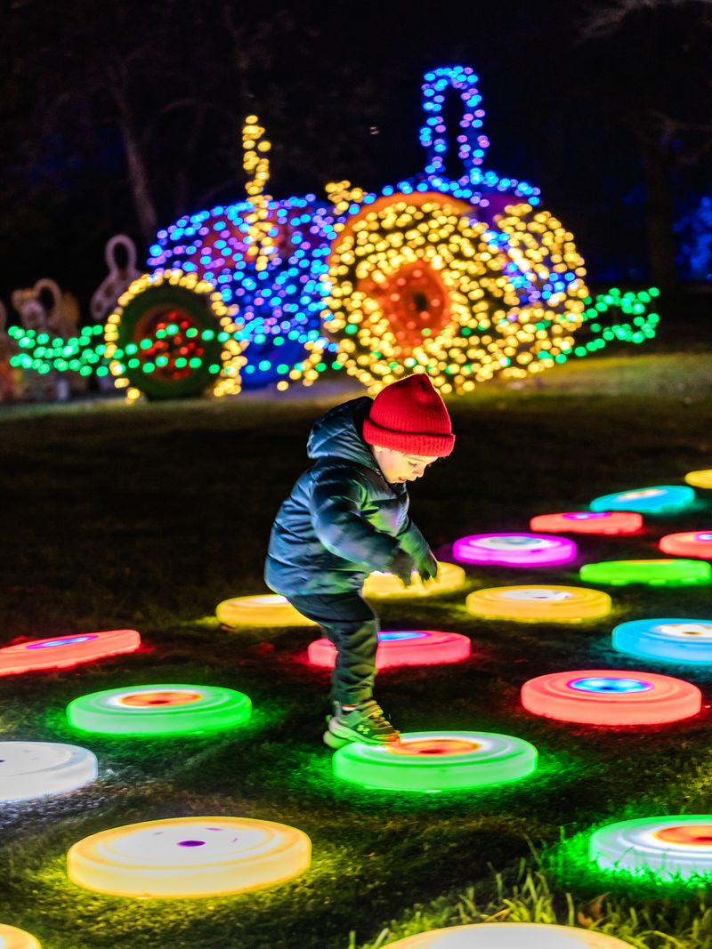 Half a Million Lights at Harvest Moon Farm & Orchard For Lumina Half a Million Lights at Harvest Moon Farm & Orchard For Lumina