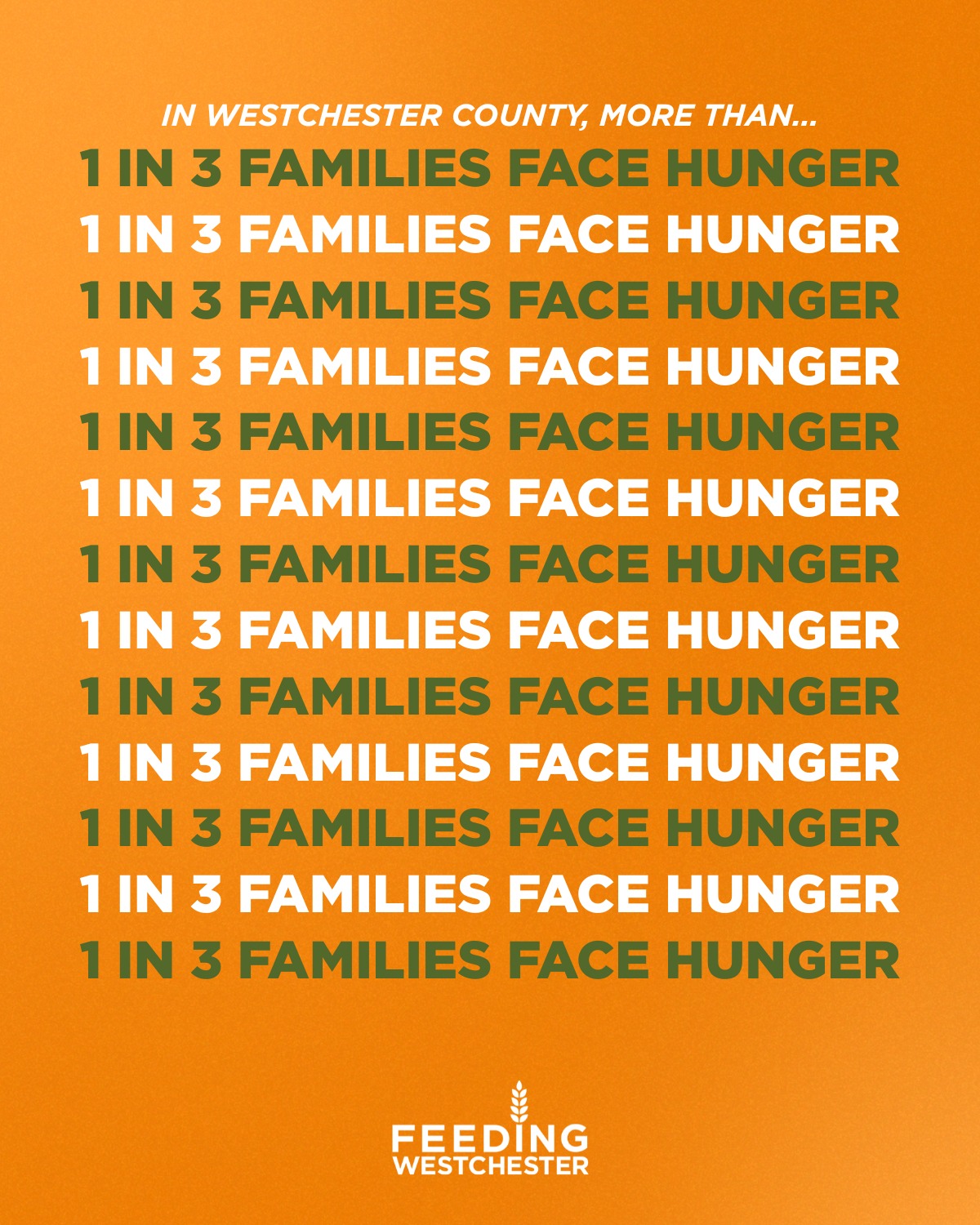 45,000 Households in Westchester Need SNAP to Feed their Families 45,000 Households in Westchester Need SNAP to Feed their Families