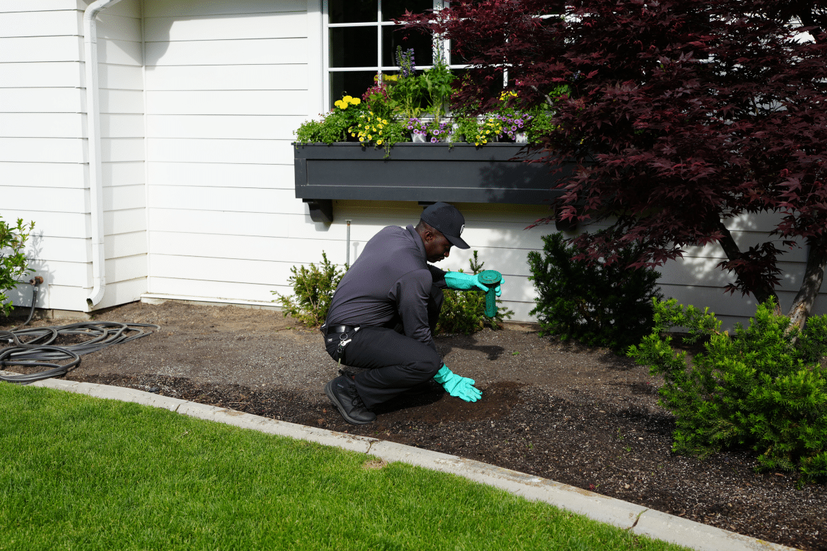 The Top 5 Ways Pests Get into Your Home The Top 5 Ways Pests Get into Your Home