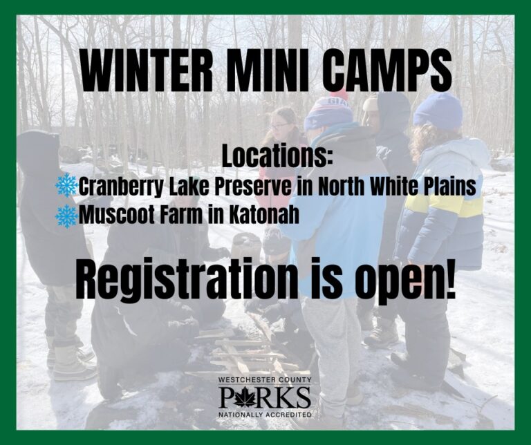 TWO WESTCHESTER COUNTY PARKS TO OFFER WINTER MINI CAMPS DURING FEBRUARY BREAK