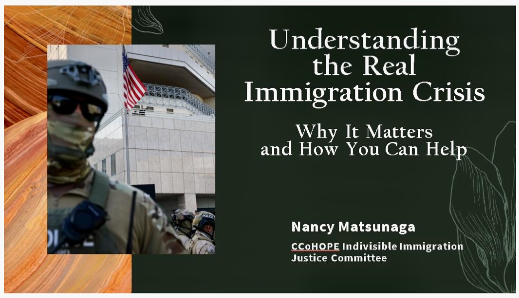 Understanding the Real Immigration Crisis Understanding the Real Immigration Crisis