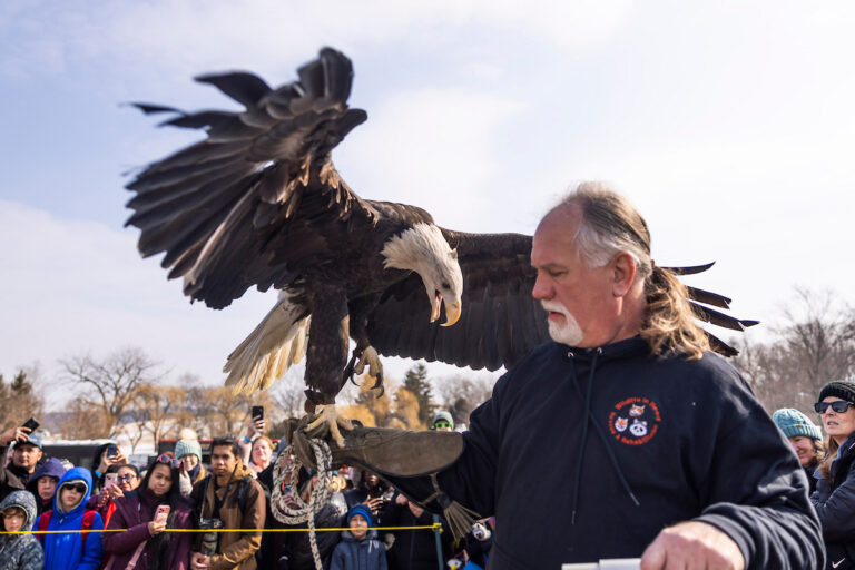 Thousands Attend EagleFest 2026 at Croton Point Park