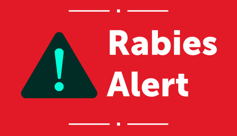 RABIES ALERT: SUSPECTED RABID COYOTE REPORTED IN EASTCHESTER/BRONXVILLE AREA