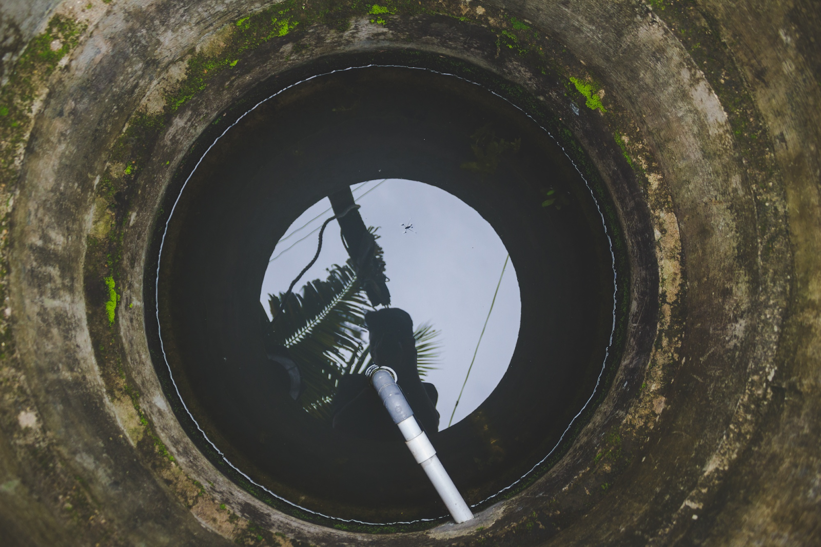 7 Warning Signs You Need Immediate Sewer Repair 7 Warning Signs You Need Immediate Sewer Repair