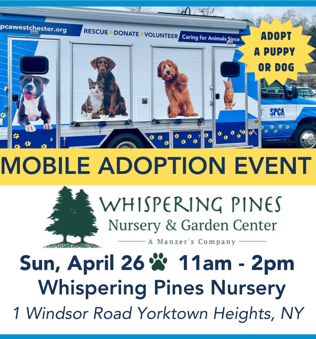 SPCA of Westchester to Hold Mobile Adoption Event April 26 SPCA of Westchester to Hold Mobile Adoption Event April 26
