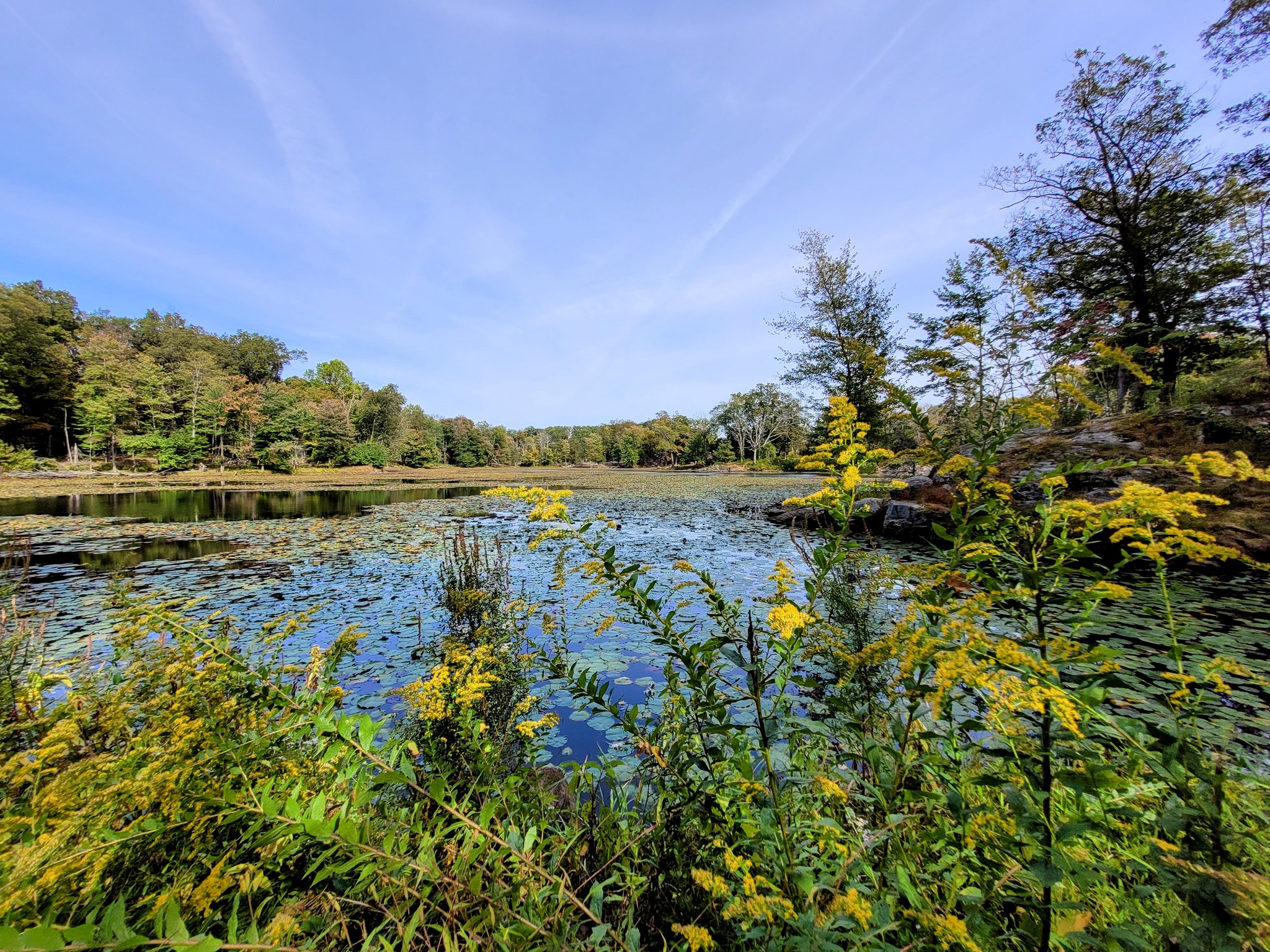 Teatown Secures 21 Acres of Critical Wildlife Habitat in Northern Westchester Teatown Secures 21 Acres of Critical Wildlife Habitat in Northern Westchester