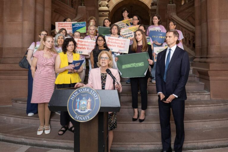 Senator Shelley Mayer, State Lawmakers, Reproductive Freedom Attorneys and Advocates Including Reproductive Futures, National Council of Jewish Women – New York, Dr. Mary Applegate, Dr. Cheryl Frye, and Medical Students for Choice Urge Passage of Abortion Patient Privacy Legislation