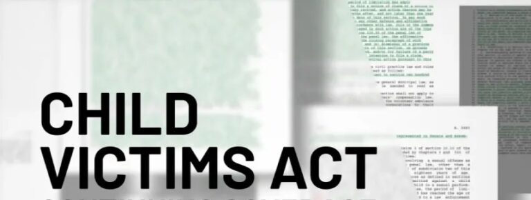 NYS Senate Passes Urgent Fix to CVA and ASA to Ensure Survivors in NY Can Access the Justice They Deserve