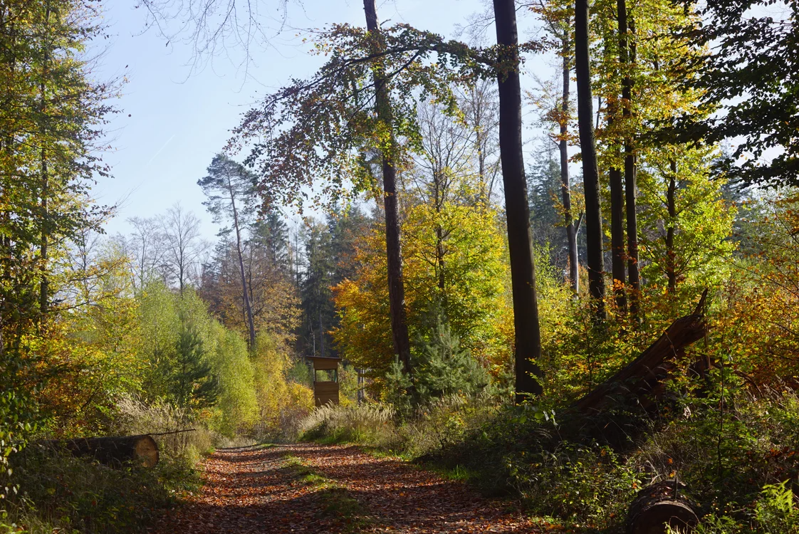 Must-Have Tools for Your Hunting Trip Must-Have Tools for Your Hunting Trip
