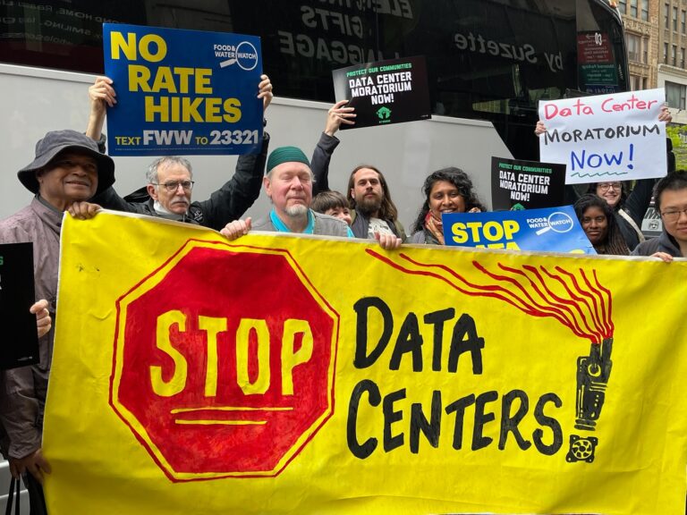 Lawmakers, Advocates and Alarmed New Yorkers Rally for Data Center Moratorium Bill