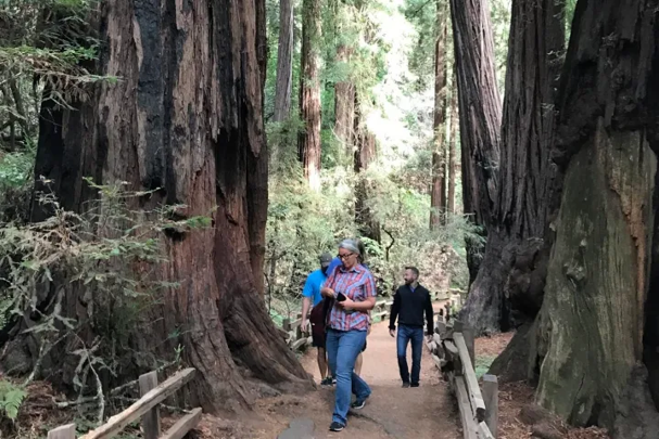 What Makes a Private Muir Woods and Sausalito Half-Day Tour Worth Taking What Makes a Private Muir Woods and Sausalito Half-Day Tour Worth Taking