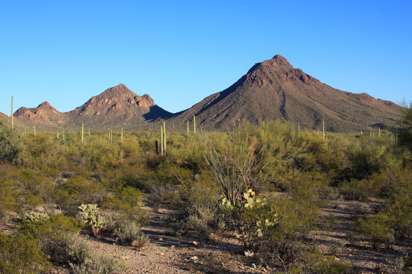 Is Santa Rosa, AZ Safe? What You Should Know Before Moving Is Santa Rosa, AZ Safe? What You Should Know Before Moving