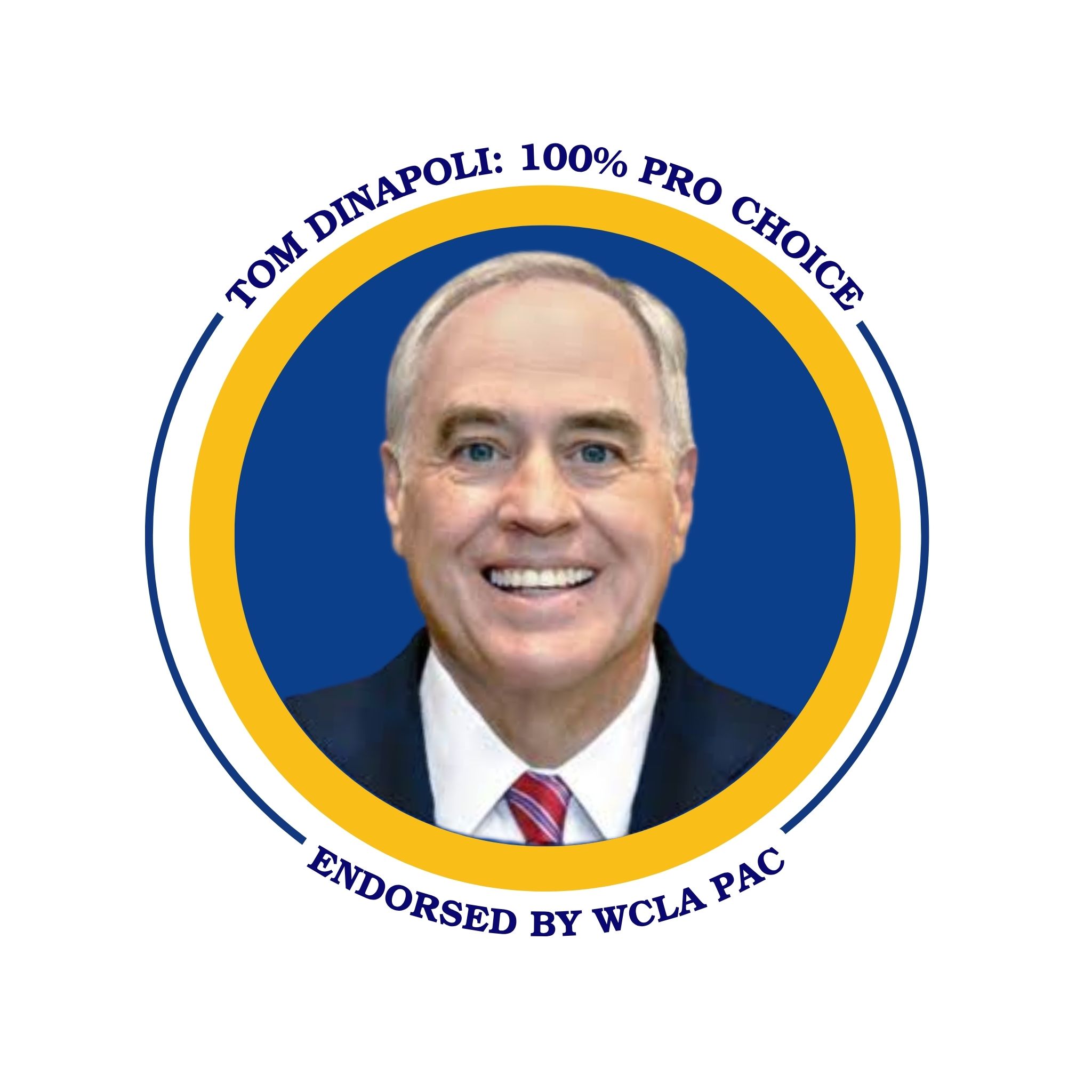 DiNAPOLI ENDORSED! ANTI-CHOICE OPPONENT EXPOSED! DiNAPOLI ENDORSED! ANTI-CHOICE OPPONENT EXPOSED!