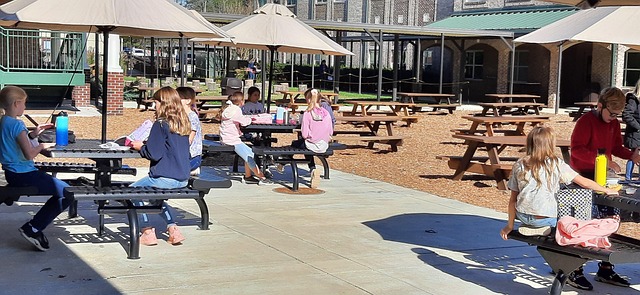 Why Local Schools Are Rebuilding Outdoor Cafeteria Areas Why Local Schools Are Rebuilding Outdoor Cafeteria Areas