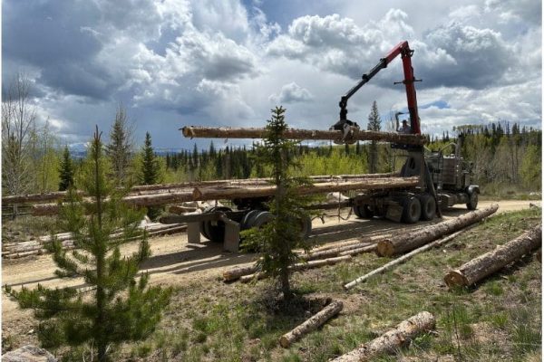 How Fire Mitigation Planning Helps Property Owners Protect Land Throughout Every Season How Fire Mitigation Planning Helps Property Owners Protect Land Throughout Every Season