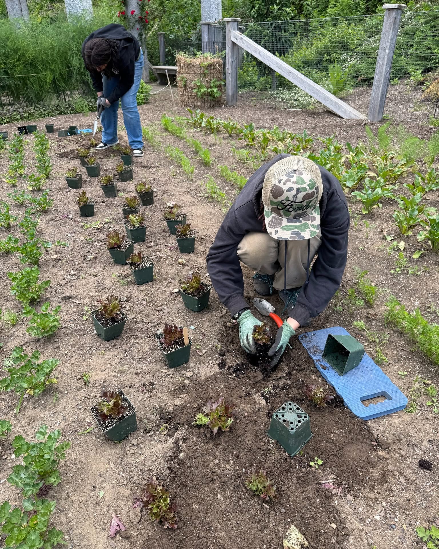 Untermyer Gardens Latest Harvest Untermyer Gardens Latest Harvest