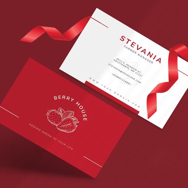 Business Card Printing NYC: Why New Yorkers Are Still Handing Out Paper in a Digital City Business Card Printing NYC: Why New Yorkers Are Still Handing Out Paper in a Digital City