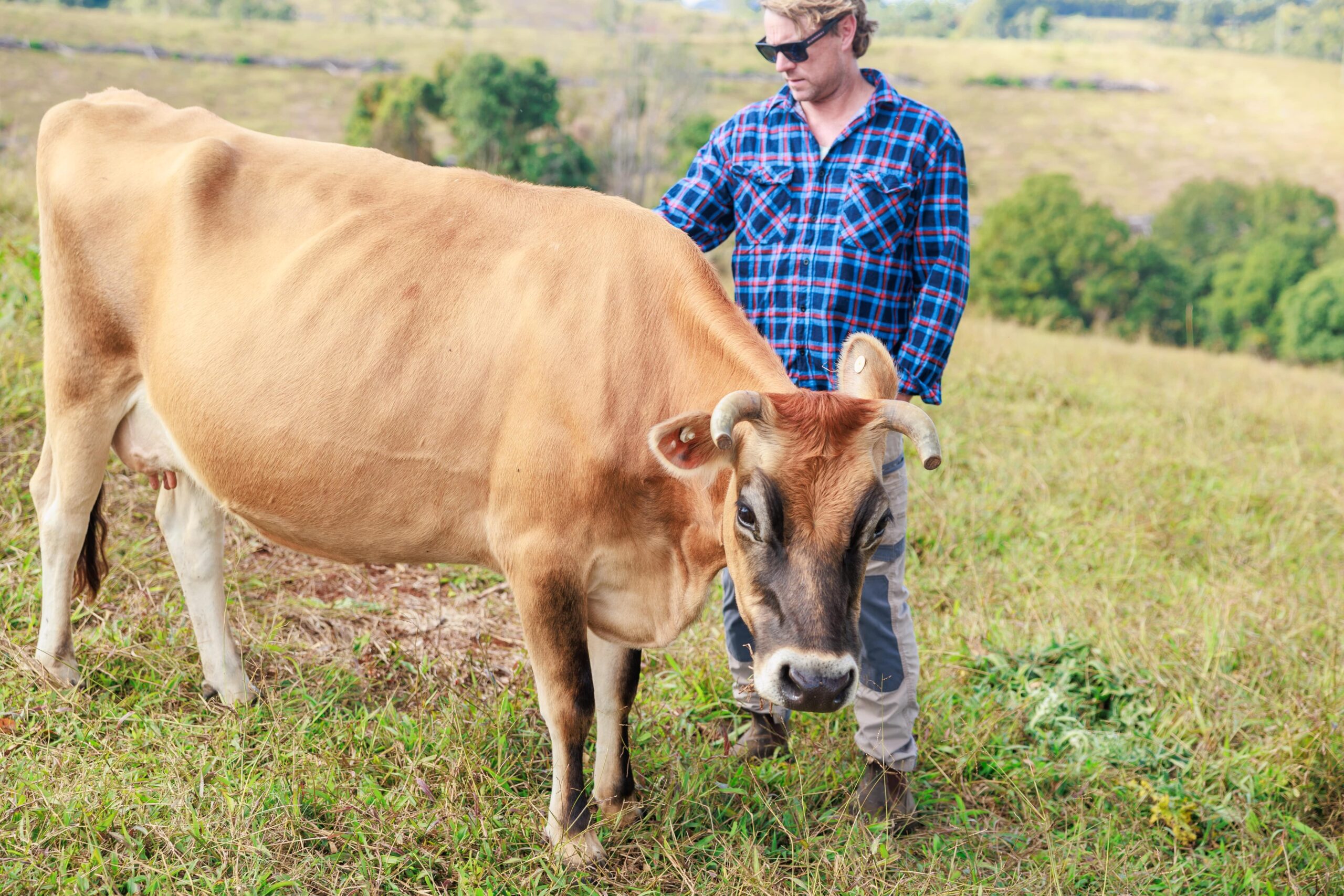 Common Health Issues in Farm Animals and How Vets Treat Them Common Health Issues in Farm Animals and How Vets Treat Them