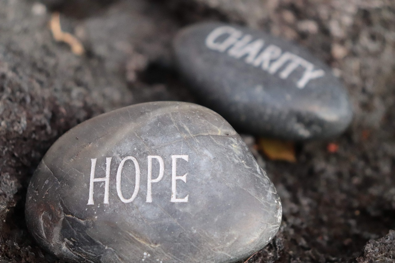 How Charity Law in the UK Differs from Nonprofit Law in the US How Charity Law in the UK Differs from Nonprofit Law in the US