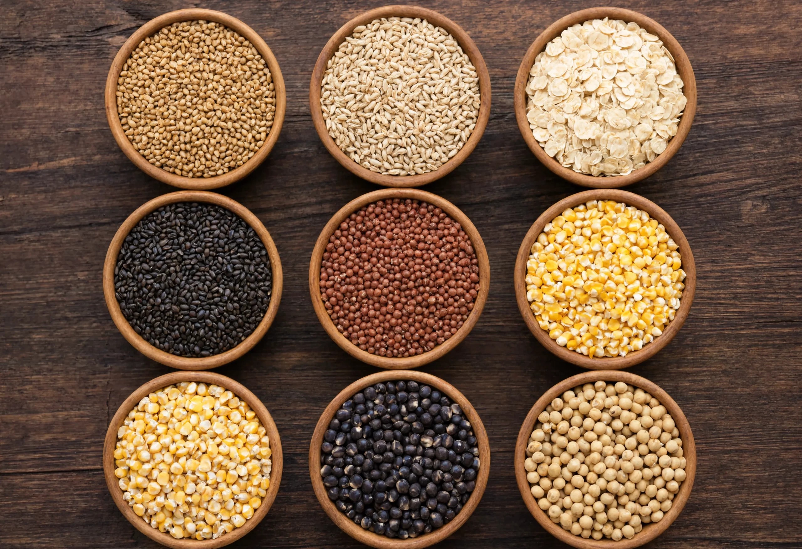 Where Can You Buy Bulk White Corn for Manufacturing? Where Can You Buy Bulk White Corn for Manufacturing?