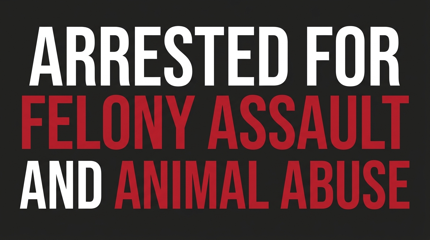 Assault News Image