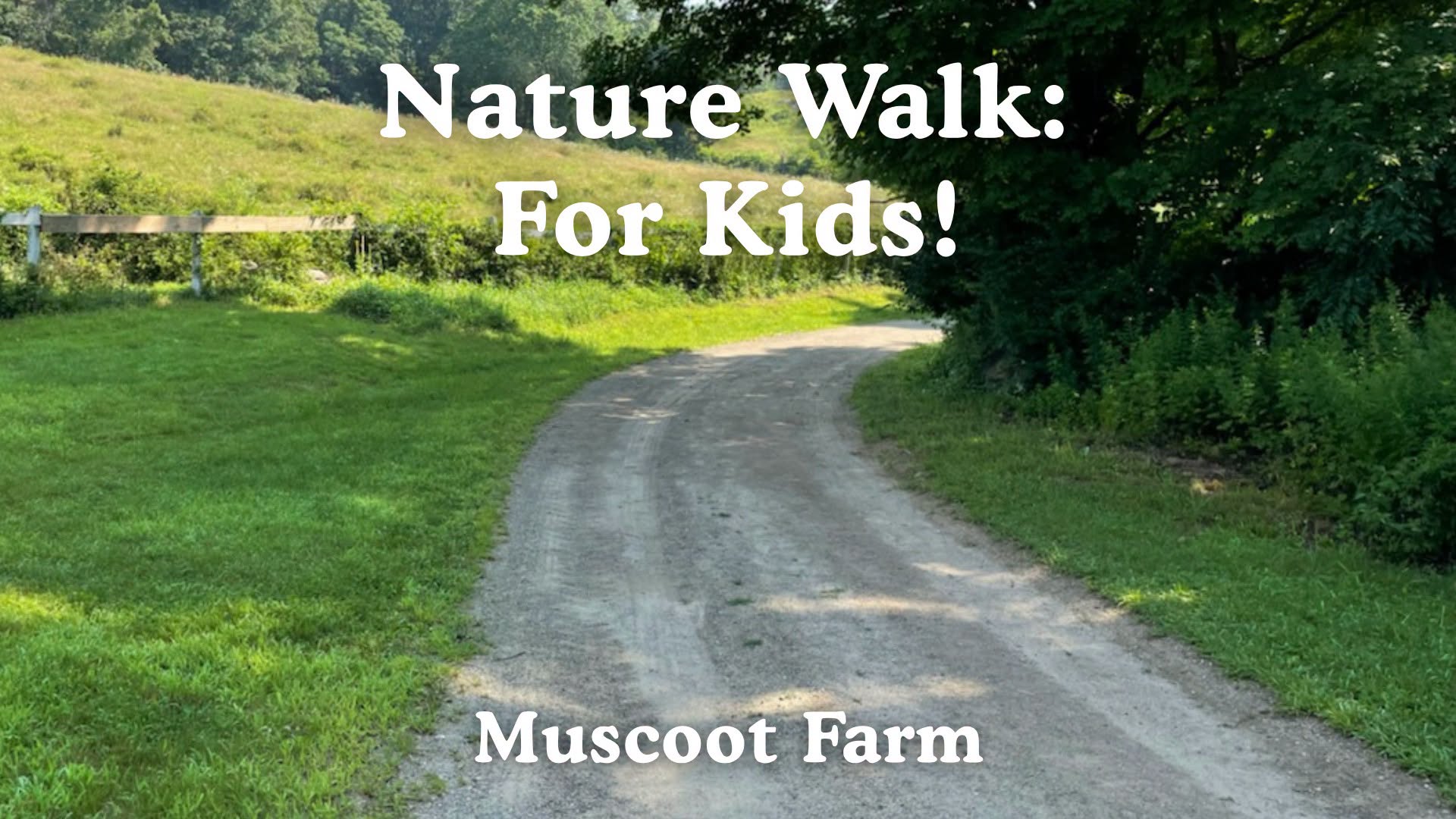 Nature Walk for Kids at Muscoot